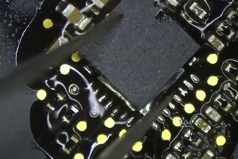 delo pod mikroskopom